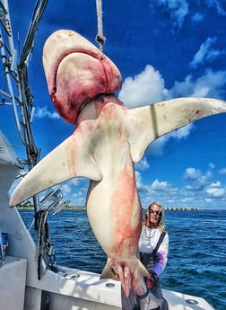 Fishing in Pompano Beach, Florida