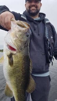 Largemouth Bass Fishing in Fort Lauderdale, Florida