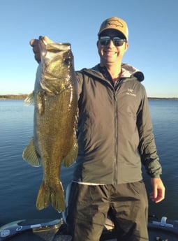 Largemouth Bass fishing in Austin, Texas