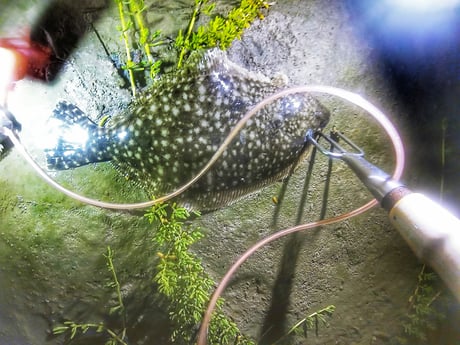 Flounder fishing in Rio Hondo, Texas