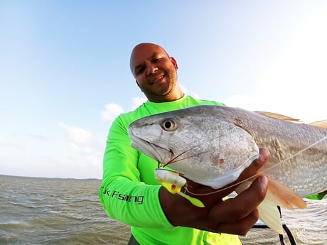 Redfish Fishing in Rio Hondo, Texas