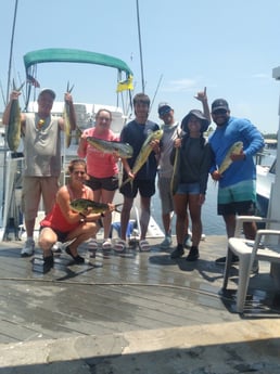 Mahi Mahi / Dorado fishing in Key West, Florida