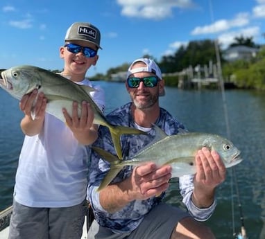 Jack Crevalle Fishing in Sarasota, Florida