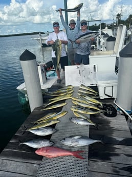 Blackfin Tuna, Mahi Mahi, Queen Snapper Fishing in Islamorada, Florida