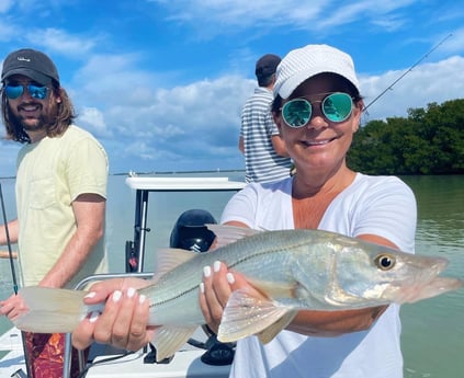 Snook fishing in Tavernier, Florida