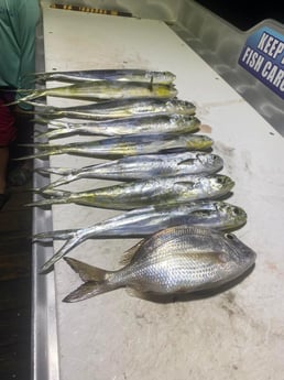 Red Snapper fishing in Destin, Florida