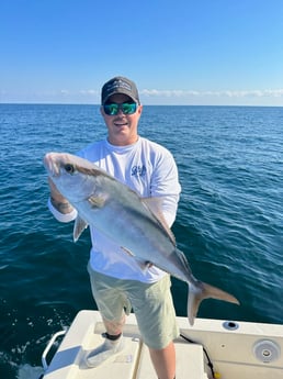 Amberjack Fishing in Clearwater, Florida