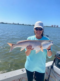 Redfish fishing in St. Petersburg, Florida