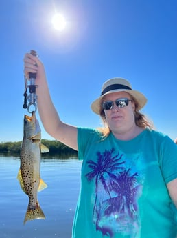 Speckled Trout / Spotted Seatrout Fishing in Hudson, Florida