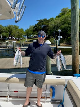 Spanish Mackerel fishing in Destin, Florida