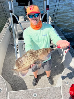 Gag Grouper Fishing in Holmes Beach, Florida