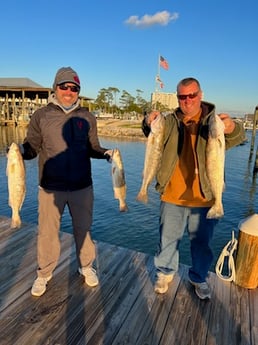 Fishing in Orange Beach, Alabama