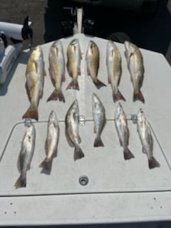 Redfish, Speckled Trout Fishing in Rockport, Texas