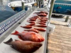 Fishing in Destin, Florida