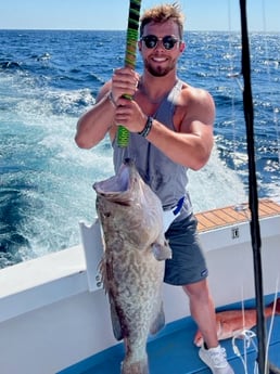 Gag Grouper Fishing in Destin, Florida