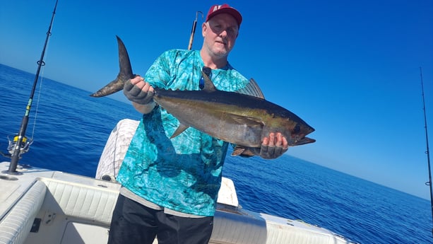 Redfish fishing in St. Petersburg, Florida