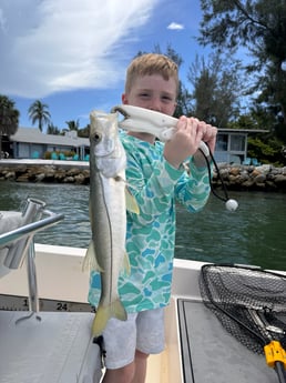 Fishing in Sarasota, Florida