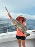 Gag Grouper Fishing in Destin, Florida