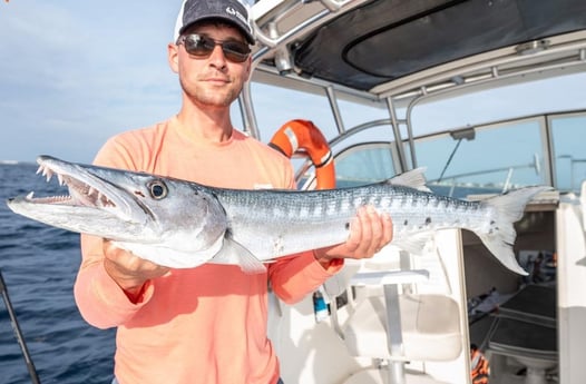 Barracuda Fishing in Boynton Beach, Florida