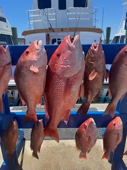 Fishing in Panama City Beach, Florida