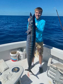 Cero Mackerel fishing in Marathon, Florida