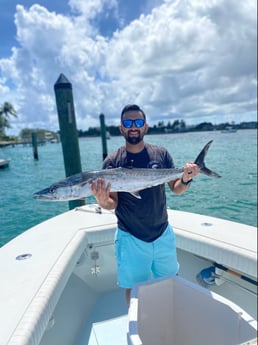 King Mackerel / Kingfish fishing in Jupiter, Florida, USA