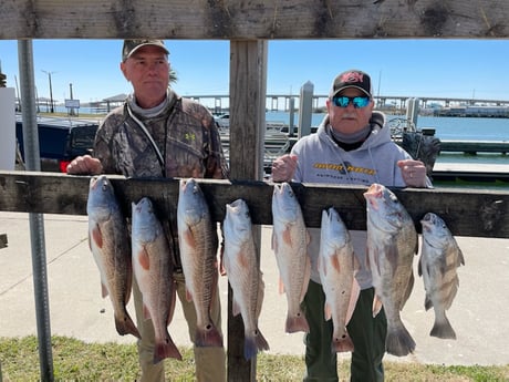 Black Drum fishing in Aransas Pass, Texas