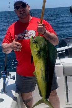 Mahi Mahi / Dorado fishing in Freeport, Texas