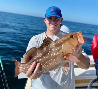 Red Grouper Fishing in Sarasota, Florida