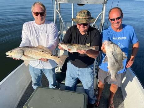 Fishing in New Orleans, Louisiana