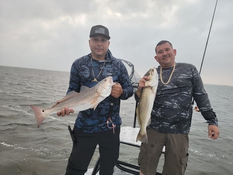 Redfish, Speckled Trout / Spotted Seatrout Fishing in Rio Hondo, Texas