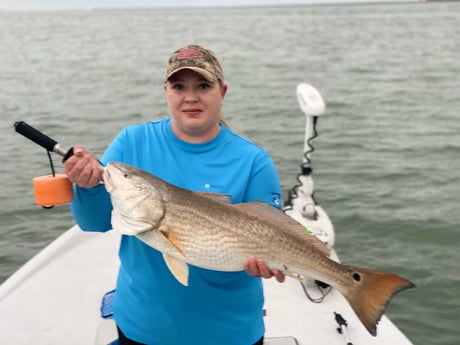 Redfish fishing in Port O&#039;Connor, Texas