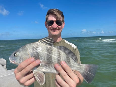 Fishing in Sarasota, Florida