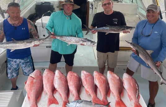 King Mackerel / Kingfish, Red Snapper fishing in Galveston, Texas