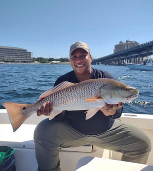 Redfish Fishing in Santa Rosa Beach, Florida, USA