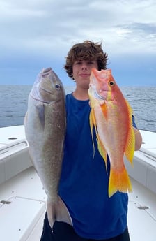 Tilefish fishing in Orange Beach, Alabama