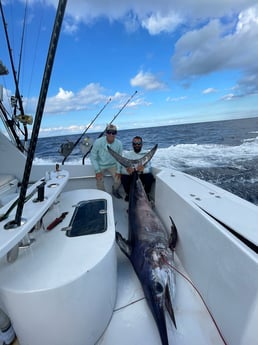 Swordfish Fishing in Fort Lauderdale, Florida