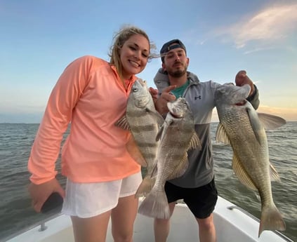 Sheepshead fishing in Galveston, Texas