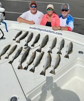 Speckled Trout / Spotted Seatrout fishing in Manteo, North Carolina