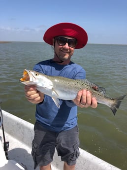 Black Drum, Flounder, Speckled Trout / Spotted Seatrout fishing in Surfside Beach, Texas