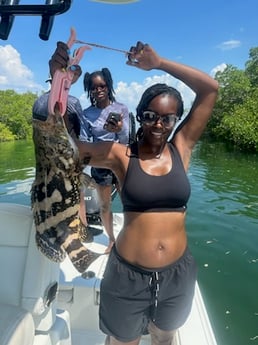 Goliath Grouper Fishing in Key Largo, Florida