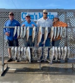 Black Drum, Redfish, Sheepshead, Speckled Trout / Spotted Seatrout fishing in Corpus Christi, Texas