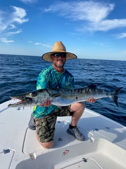 Barracuda fishing in Panama City, Florida