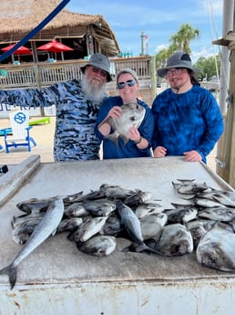 Spadefish, Spanish Mackerel Fishing in Orange Beach, Alabama