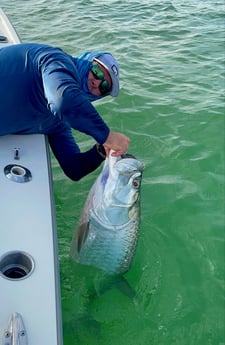 Tarpon Fishing in Tampa, Florida