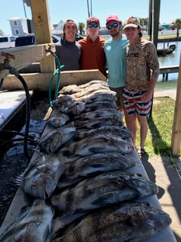 Redfish, Sheepshead fishing in Galveston, Texas