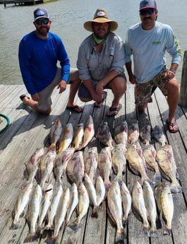 Black Drum, Redfish, Speckled Trout / Spotted Seatrout fishing in Port O&#039;Connor, Texas