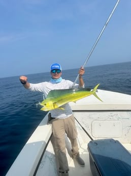 Mahi Mahi Fishing in Wilmington, North Carolina