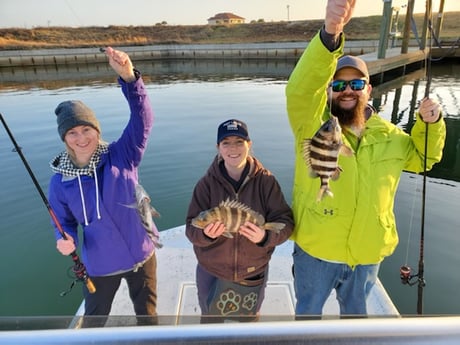 Sheepshead fishing in Port O&#039;Connor, Texas