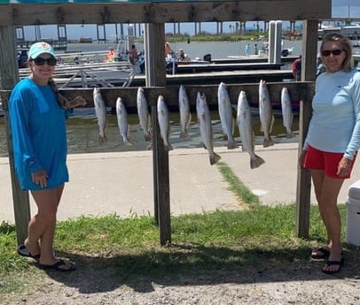 Speckled Trout / Spotted Seatrout fishing in Aransas Pass, Texas